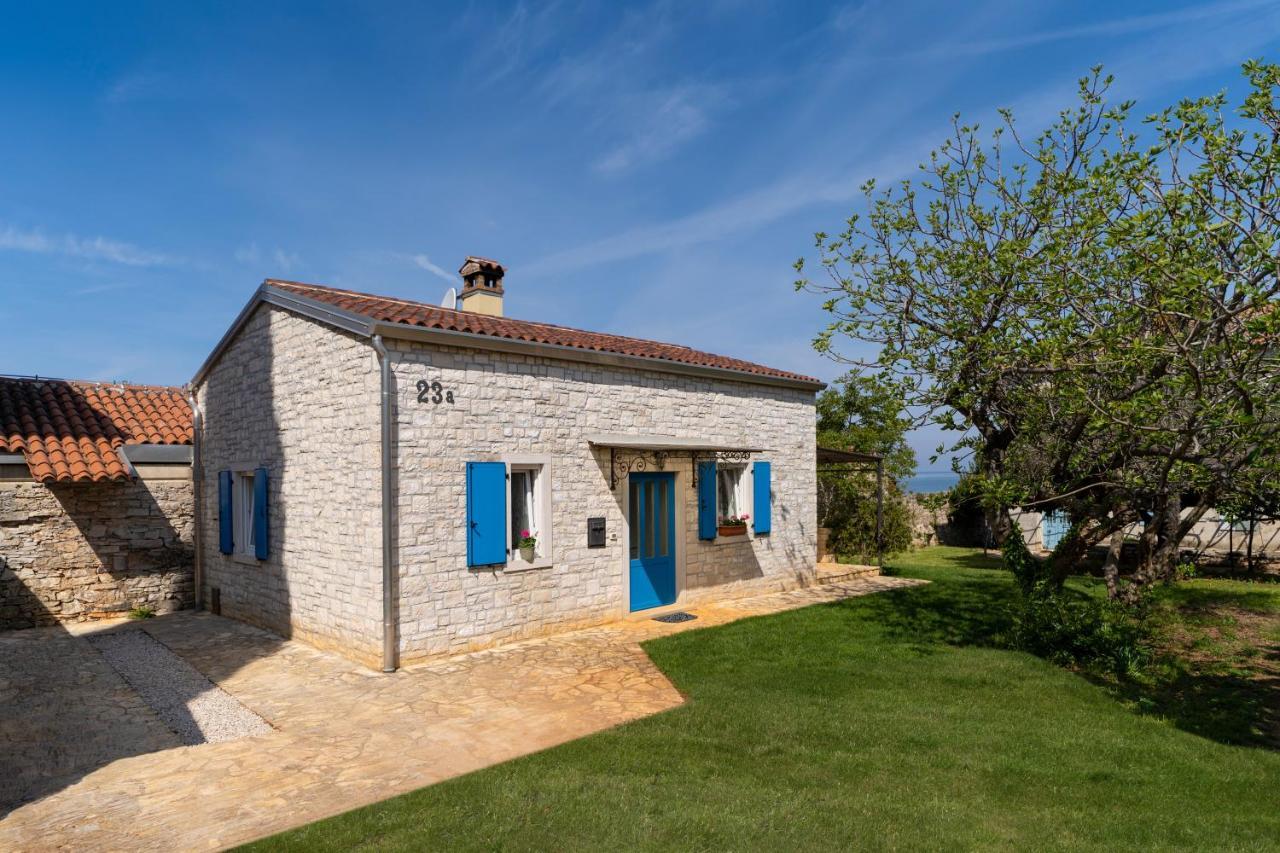 Villa Daulos Новиград Экстерьер фото