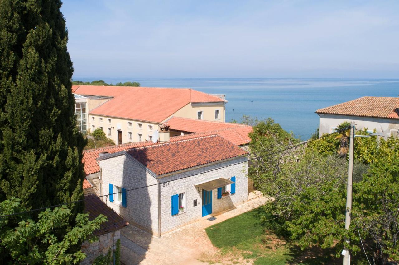 Villa Daulos Новиград Экстерьер фото