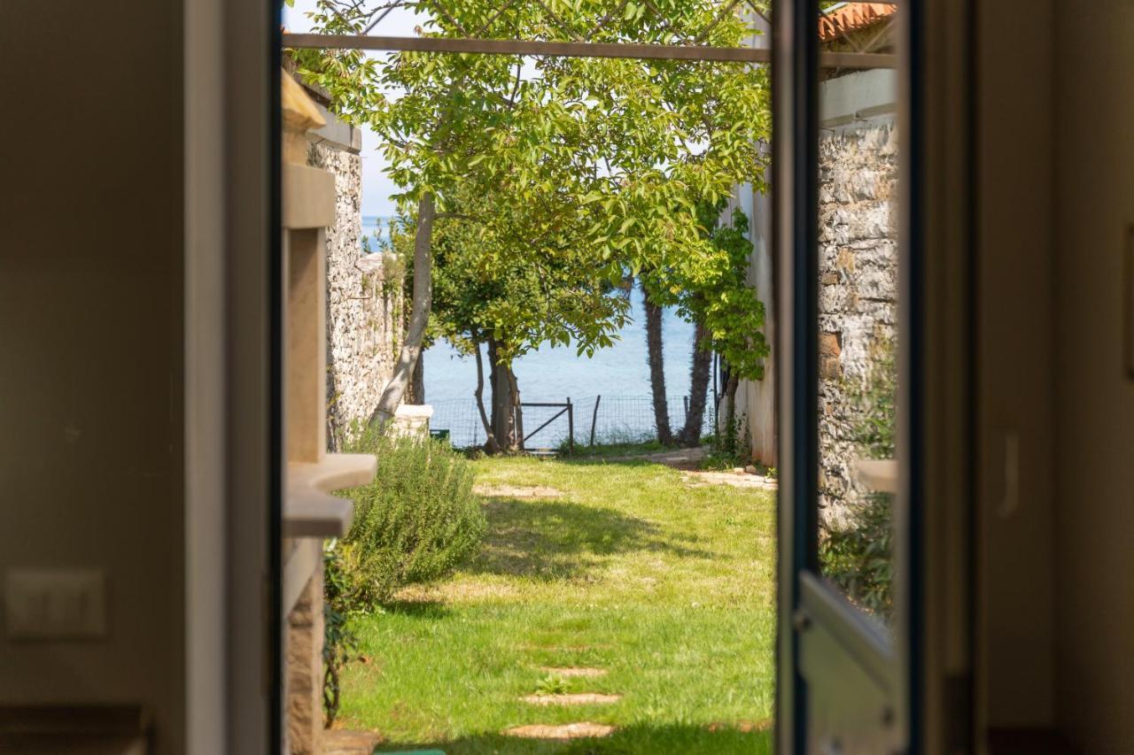 Villa Daulos Новиград Экстерьер фото