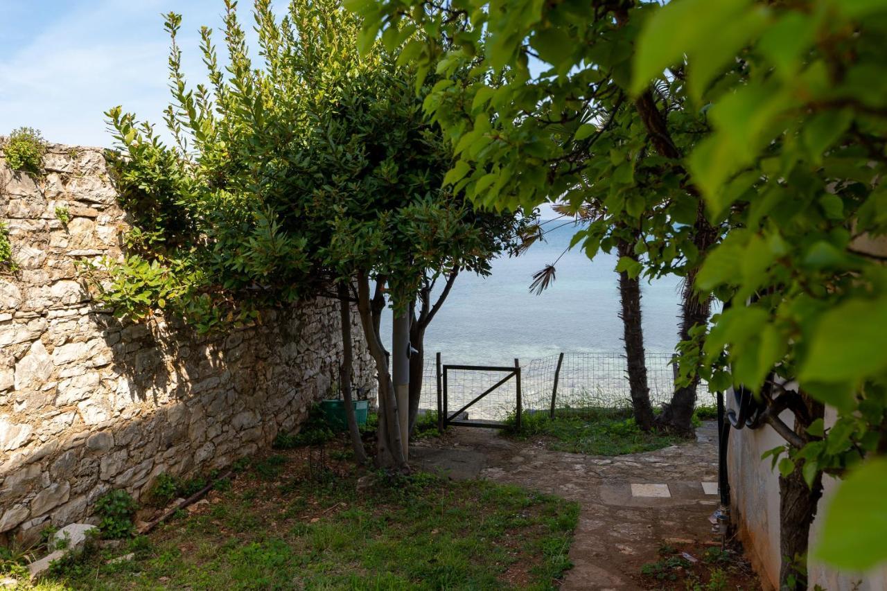 Villa Daulos Новиград Экстерьер фото