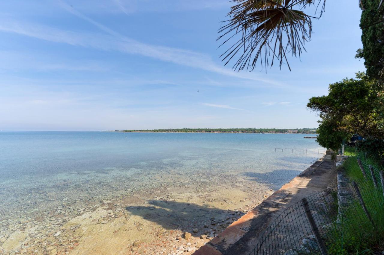 Villa Daulos Новиград Экстерьер фото